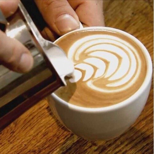 chicory latte barista pic square 500x500 1
